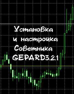 GEPARD3.2.1.